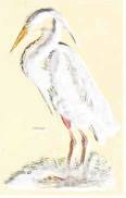 bird2