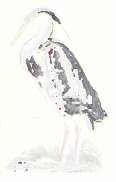 bird1