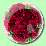 roses1