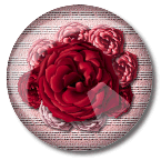 roses4