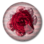 roses5