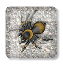 bug on paperweight