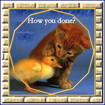 Lars-Ingo presented cat
